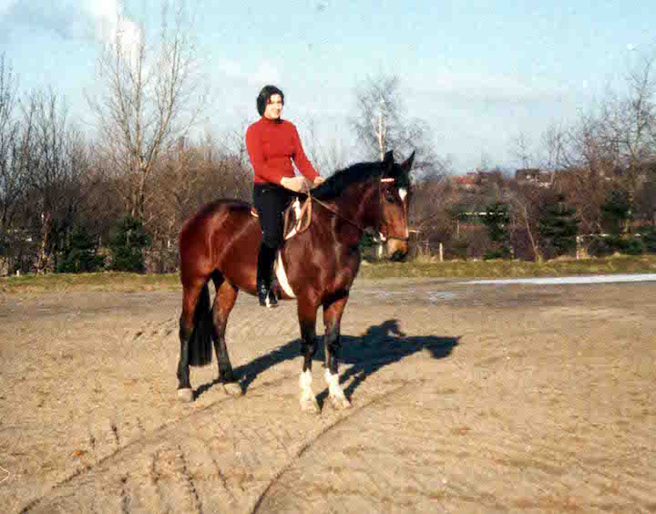 1977 Berittpferd in Hagen